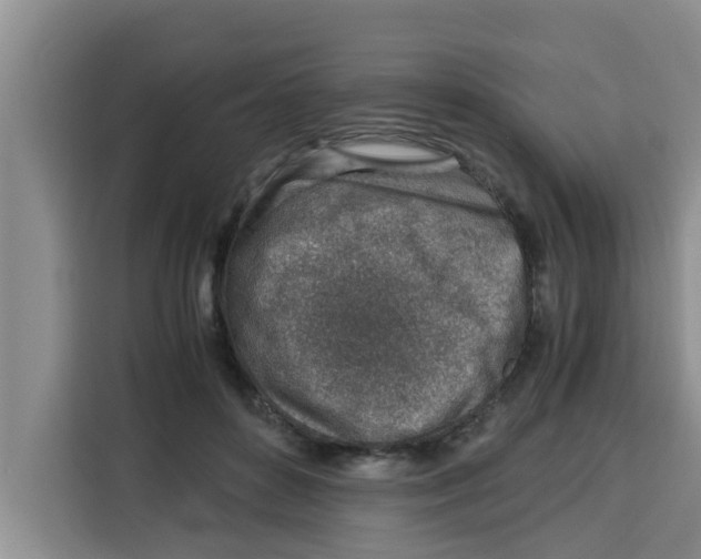 X0000115150504200911241531