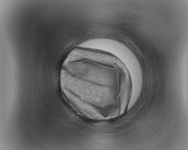 X0000115150505200911241531