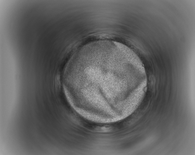 X0000115150506200911241531