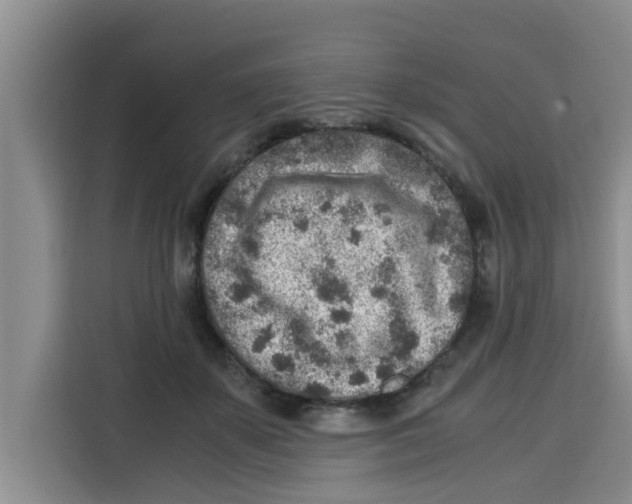 X0000115150507200911241531