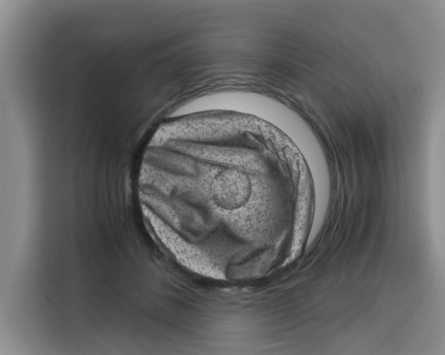 X0000115150508200911241531