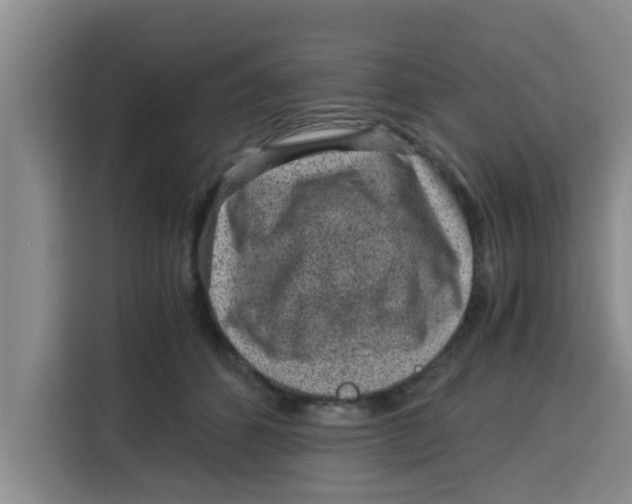 X0000115150512200911241531