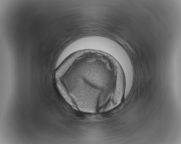 X0000115150517200911241531