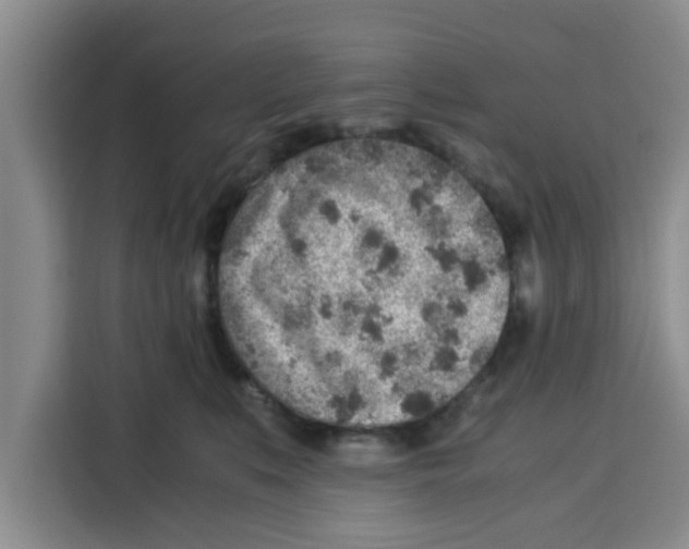 X0000115150519200911241531