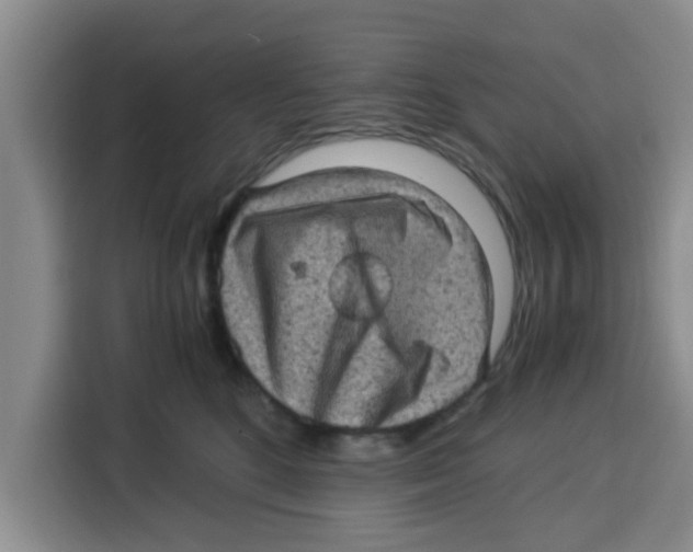 X0000115150520200911241531