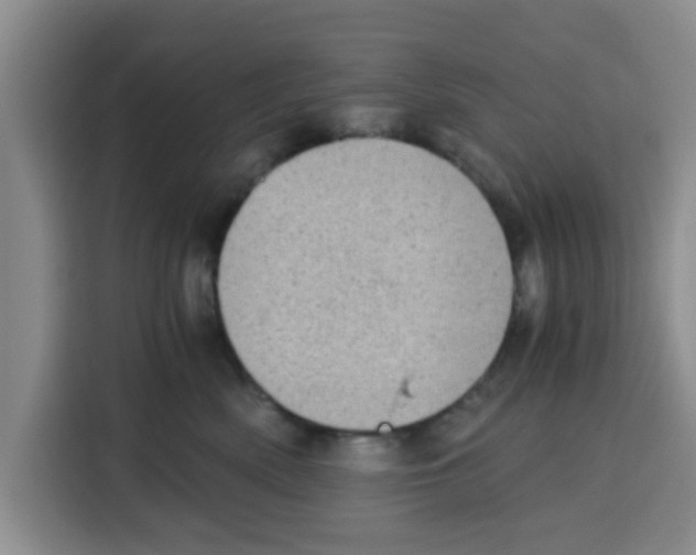 X0000115150522200911241531