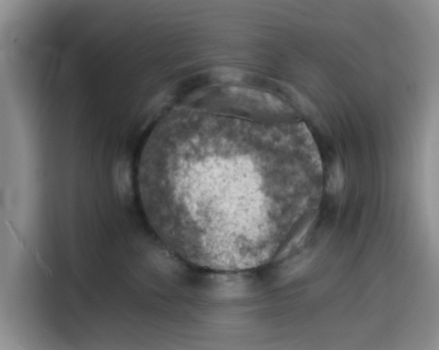 X0000115150524200911241531