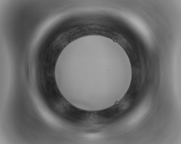 X0000115150526200911241531