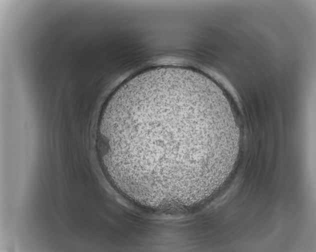 X0000115150529200911241530