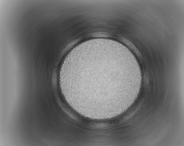 X0000115150533200911241531