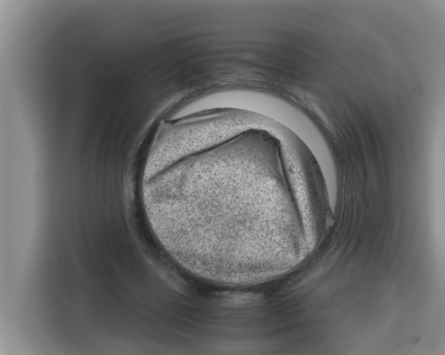 X0000115150539200911241531