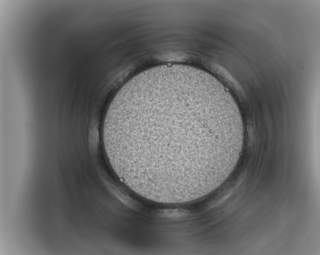 X0000115150541200911241531