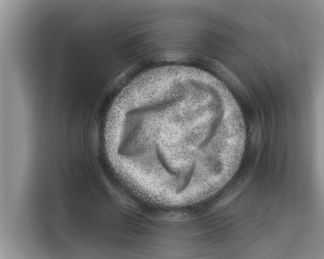 X0000115150542200911241531