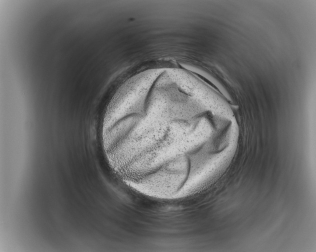 X0000115150543200911241531