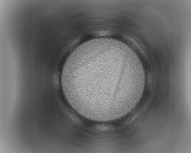 X0000115150545200911241531