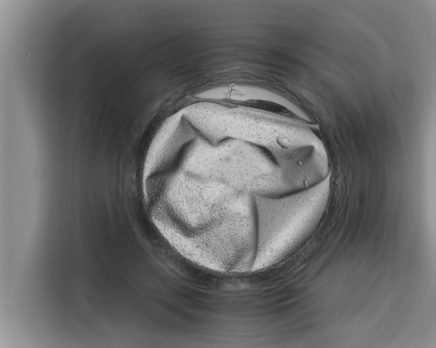 X0000115150547200911241531