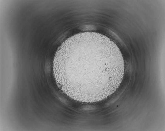 X0000115150549200911241531