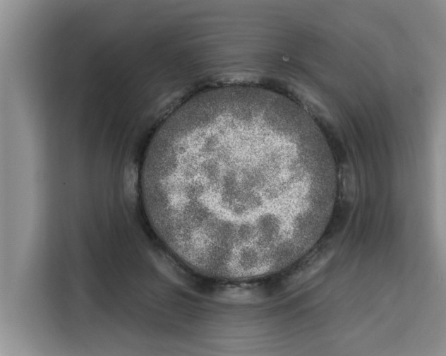 X0000115150550200911241531