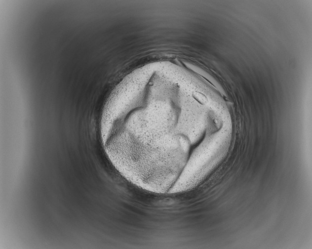 X0000115150551200911241531