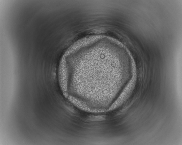 X0000115150553200911241531