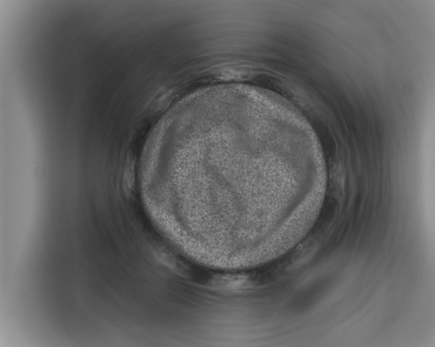 X0000115150554200911241531