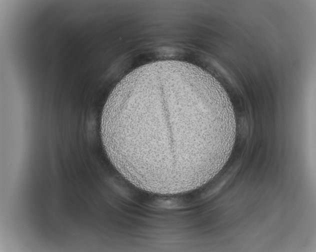 X0000115150557200911241531