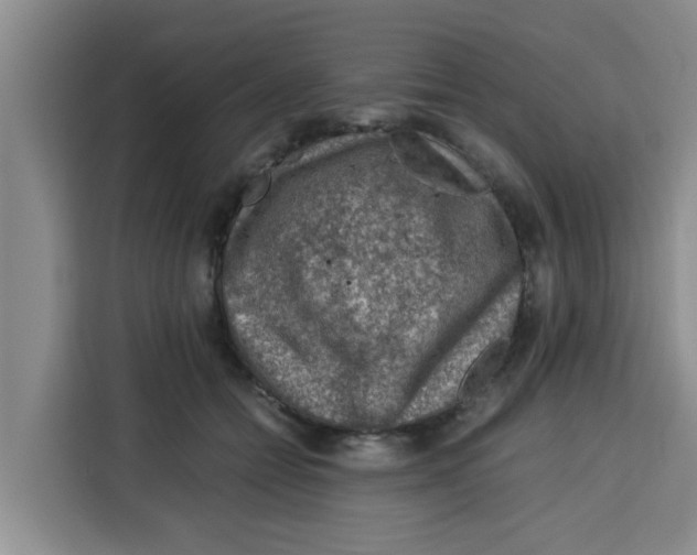 X0000115150558200911241531