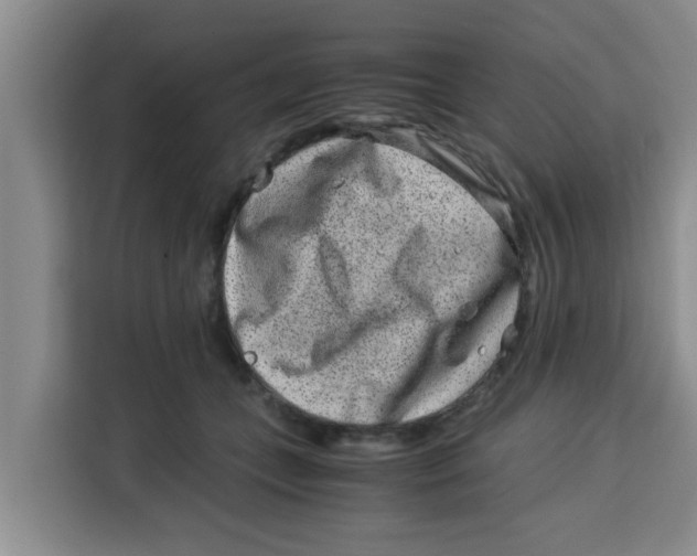 X0000115150559200911241531