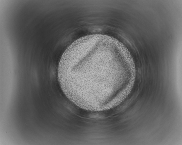 X0000115150561200911241531