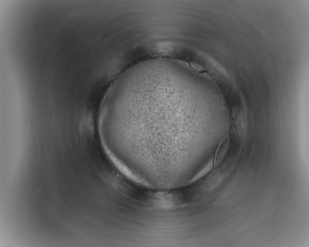 X0000115150562200911241531