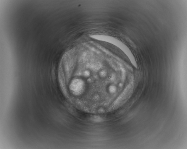 X0000115150565200911241531