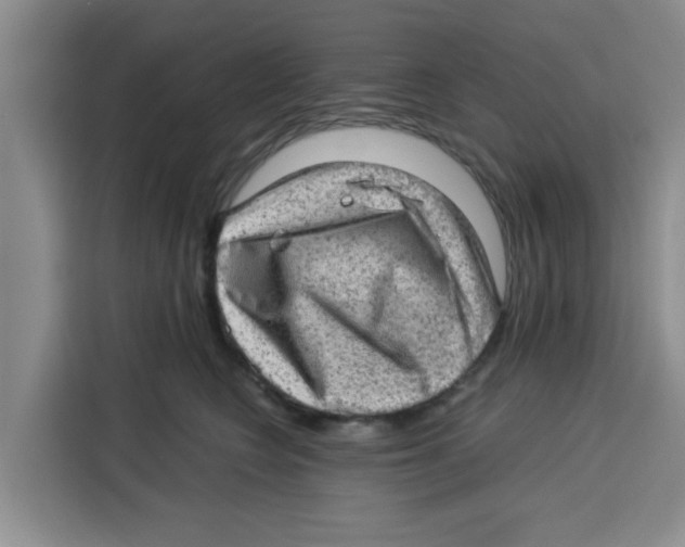 X0000115150566200911241531