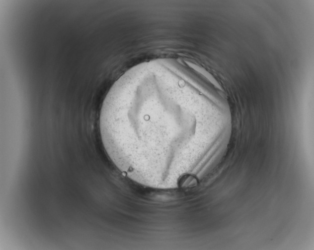 X0000115150567200911241531