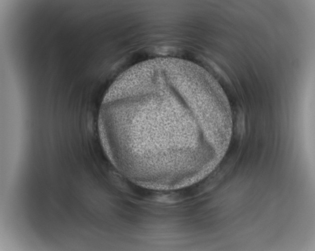 X0000115150569200911241531