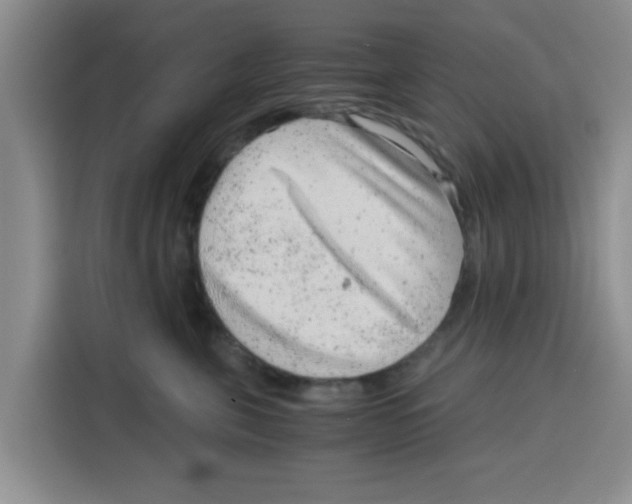 X0000115150571200911241531