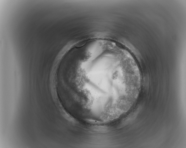 X0000115150577200911241530