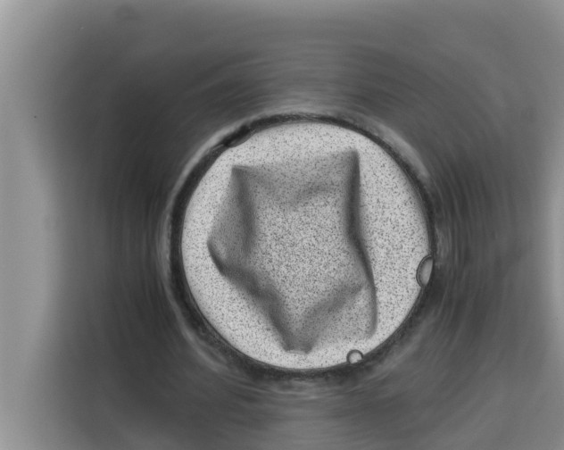 X0000115150580200911241530