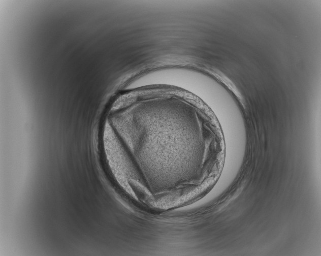 X0000115150581200911241530