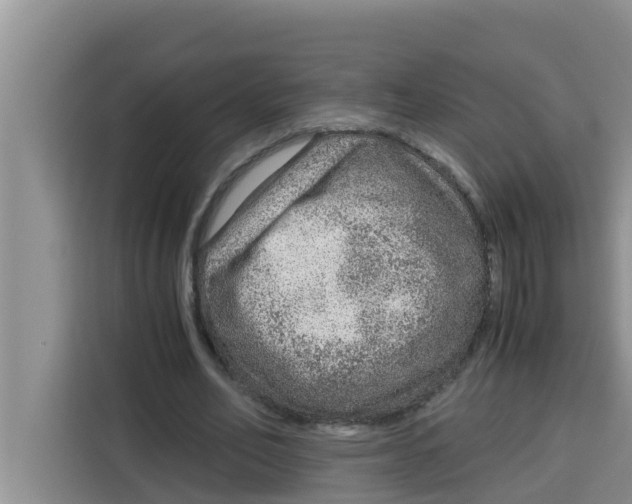 X0000115150582200911241530