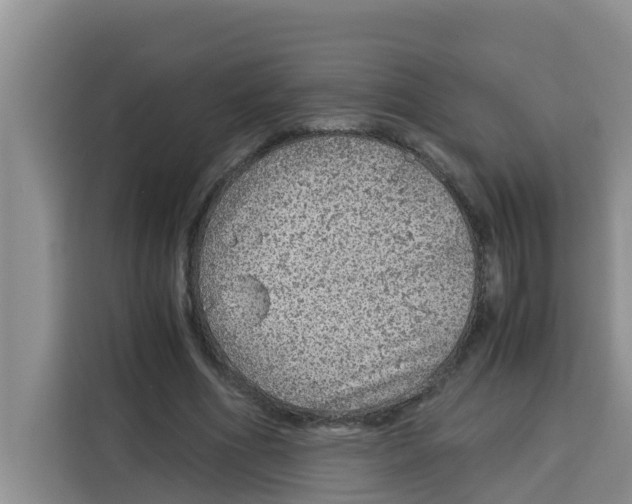 X0000115150586200911241530