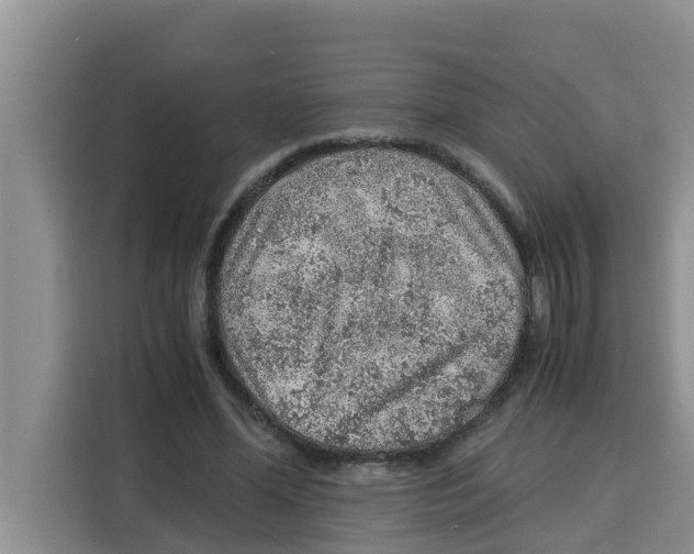 X0000115150588200911241530