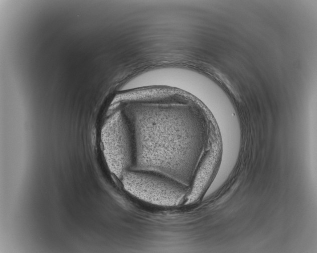 X0000115150589200911241530