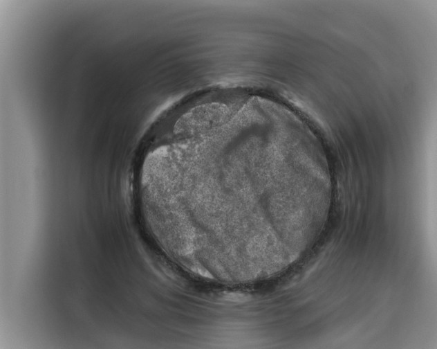 X0000115150592200911241530