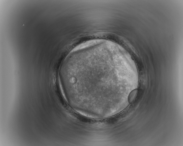 X0000115150593200911241530