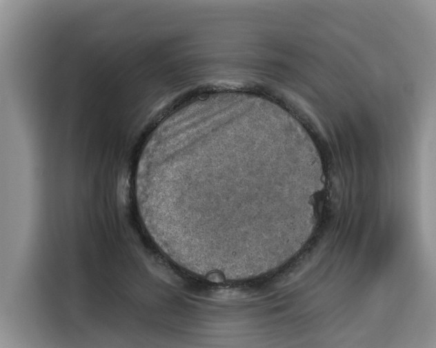 X0000115150596200911241530