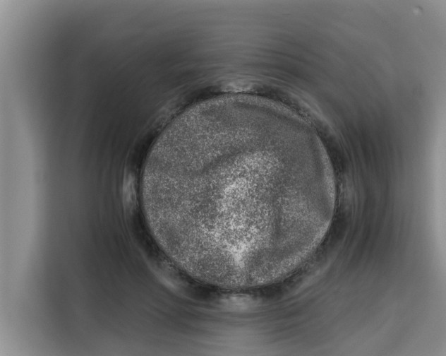 X0000115150598200911241530