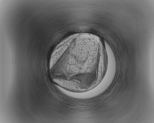 X0000115150599200911241530