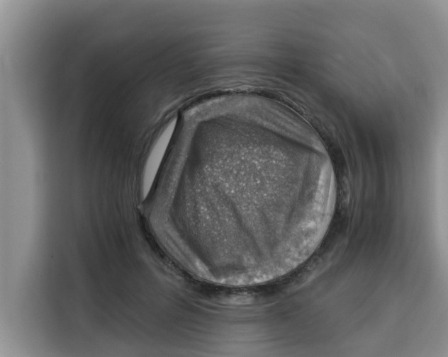 X0000115150600200911241530