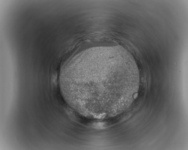 X0000115150610200911241530