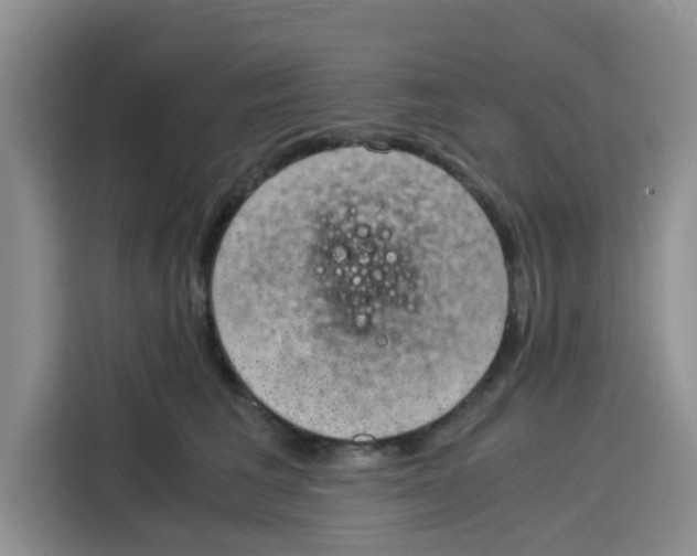 X0000115150613200911241530